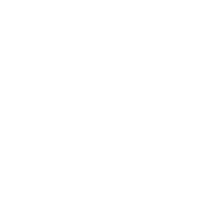 Fury Fight Club